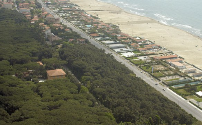 immagine articolo